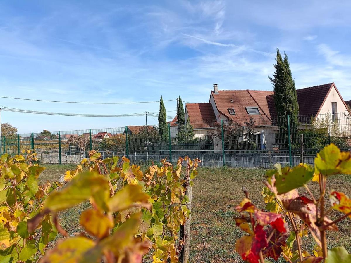 Villa Des Climats Bourgogne Marsannay-la-Côte Eksteriør billede