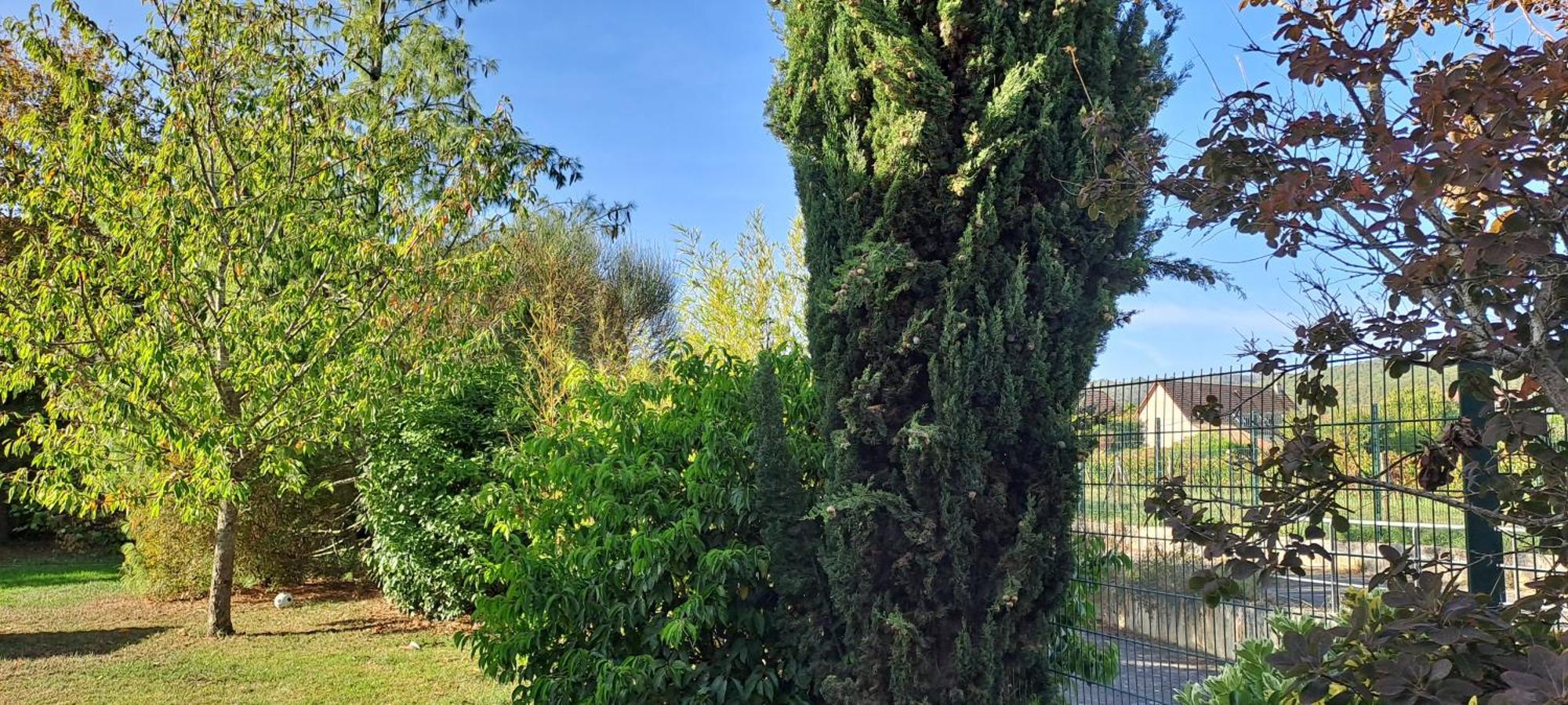 Villa Des Climats Bourgogne Marsannay-la-Côte Eksteriør billede